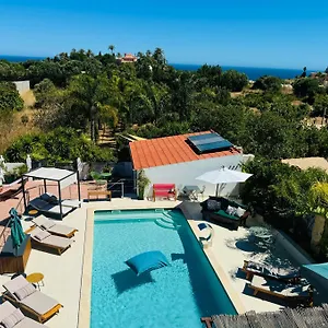 Palm View Guesthouse, Adults Only Bed & Breakfast